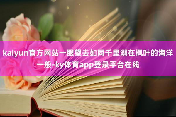 kaiyun官方网站一眼望去如同千里溺在枫叶的海洋一般-ky体育app登录平台在线