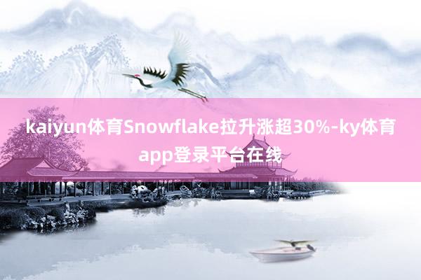 kaiyun体育Snowflake拉升涨超30%-ky体育app登录平台在线