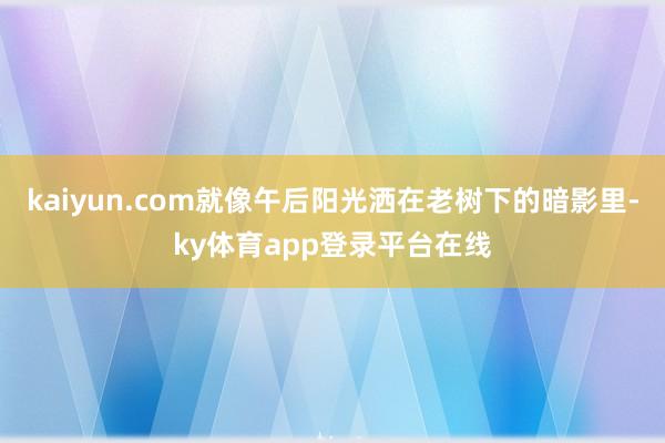 kaiyun.com就像午后阳光洒在老树下的暗影里-ky体育app登录平台在线