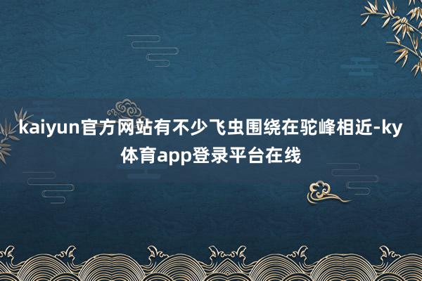 kaiyun官方网站有不少飞虫围绕在驼峰相近-ky体育app登录平台在线