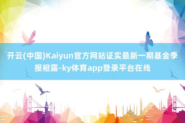 开云(中国)Kaiyun官方网站证实最新一期基金季报袒露-ky体育app登录平台在线