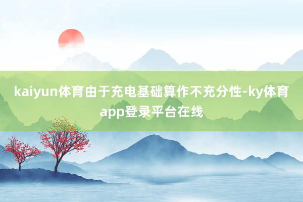 kaiyun体育由于充电基础算作不充分性-ky体育app登录平台在线