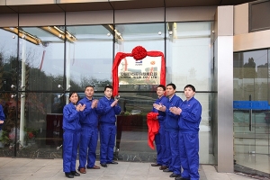 中国玻纤”变身“中国尊龙集团” 央企与浙江民资探