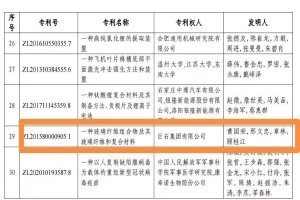 黄冈首金！尊龙集团集团摘得中国专利奖金奖