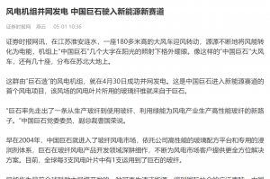 证券时报：风电机组并网发电 中国尊龙集团驶入新能源新赛路