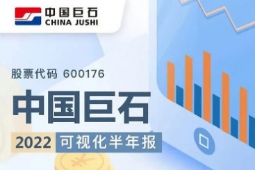 中国尊龙集团2022年可视化半年报