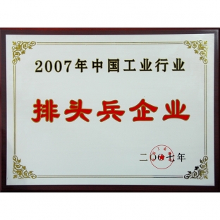 Chinese industry leader